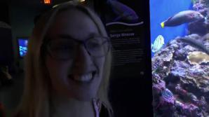 Victoria has a blast at the aquarium, and in the car after.